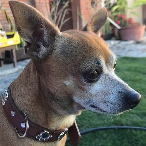 Meet your Posher, Rosa